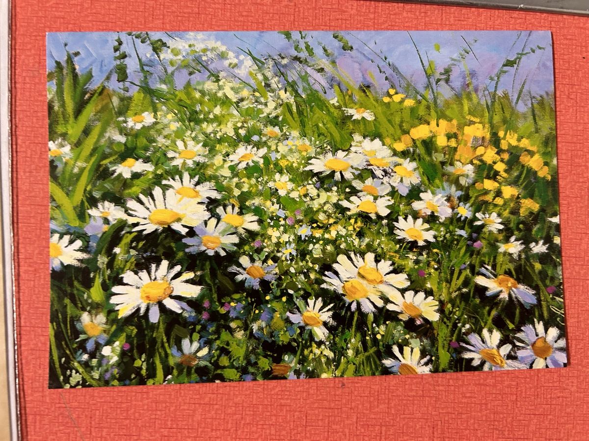 Karten: 19 Postkarten, Blumen, Katze, Ostergrusskarten – Gebraucht aus Lanzenhäusern von vic63 5