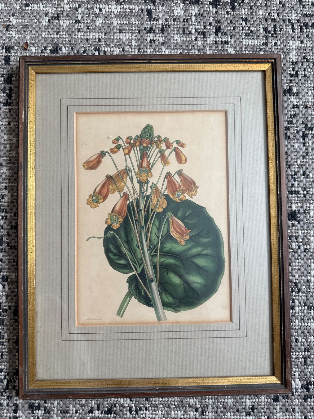 Arts picturaux & lithographies: Altcolorierte Lithographie: Holmer – D'occasion à Frauenfeld par aluma14