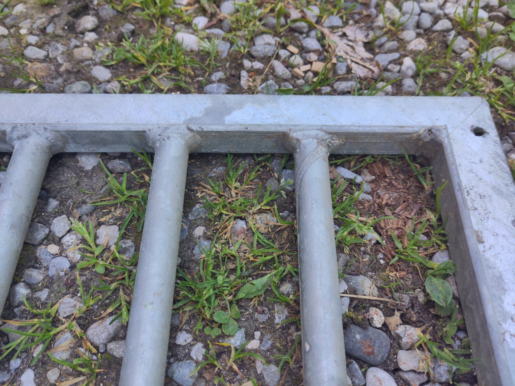 Grilles & Grillages: Eisenrost – D'occasion à Aarwangen par Bbossi 1