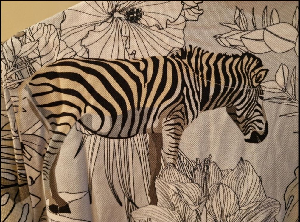 Etro Magliette Polo: Etro - Polohemd - Safari – Nuovo (secondo la descrizione) da Buchs SG venduto da fab_byz2 2