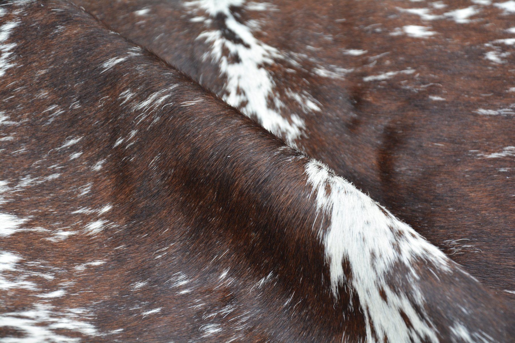 Tappeti: echtes Kuhfell Teppich Brown/White – Nuovo e nell'imballaggio originale da Arbedo venduto da patagonialeatherrugs 1