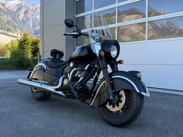 Indian Dark Horse