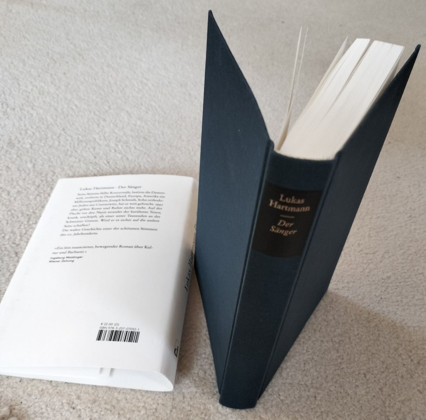 Libri: Buch "Der Sänger" von Lukas Hartmann – Nuovo (secondo la descrizione) da Muri AG venduto da Thuja99 4