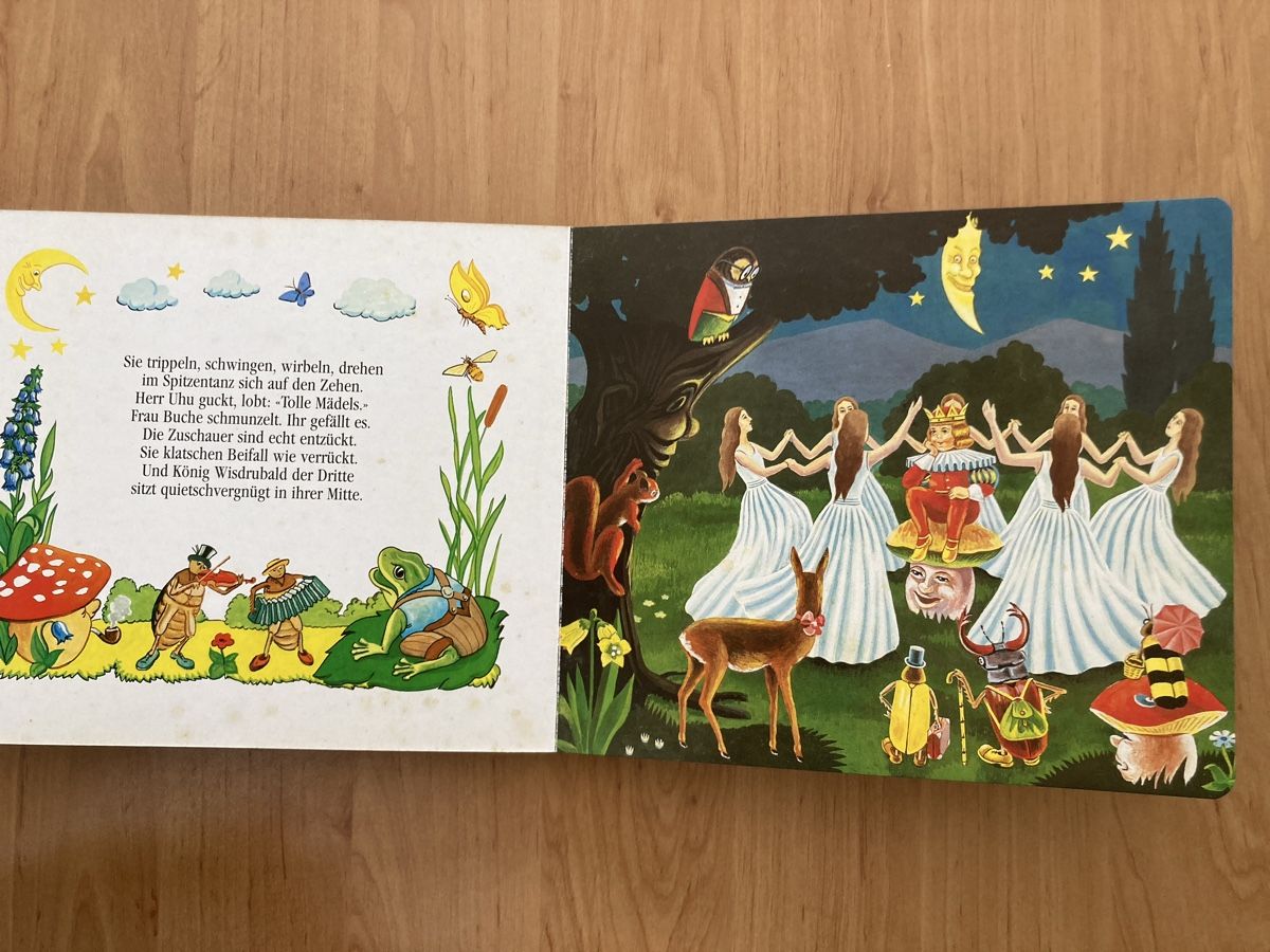 Libri: Kinderbuch "Tanz der Elfen" von Erich Zimmer, – Usato da Schüpfheim venduto da Seerose80 2