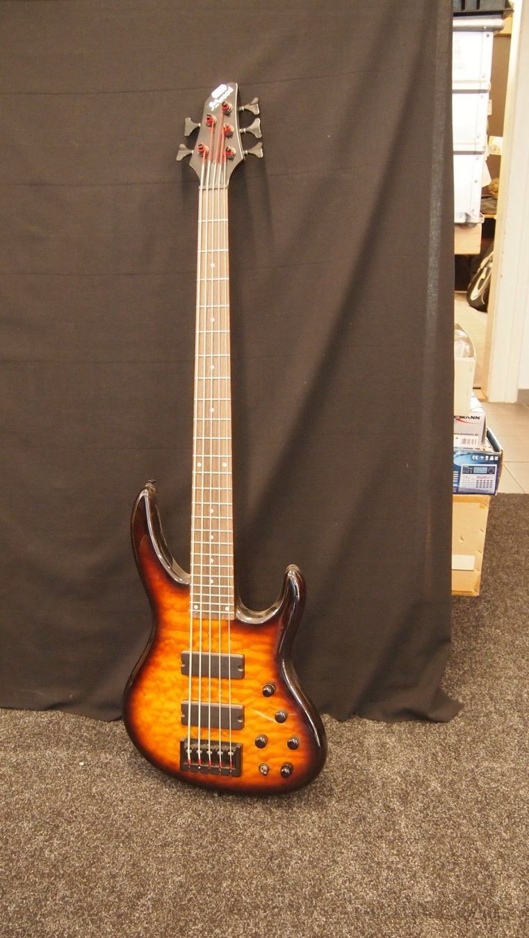 Strumenti musicali: E-Bass Firewood – Nuovo (secondo la descrizione) da Wilen b. Wil venduto da monsterstore