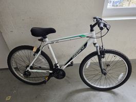 Mountainbike Leopard Star Cat weiss, gebrauchter Zustand
