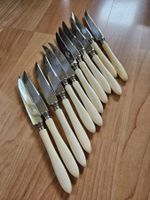 Antike Vorspeise Messer 12 Stück mit Horngriff