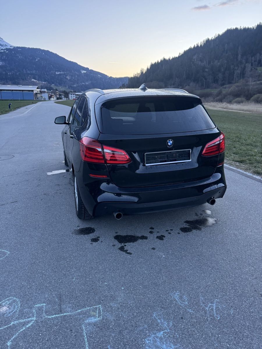 BMW Automobili: Bmw 220d x Drive – Usato da schluein venduto da patisaxo 8