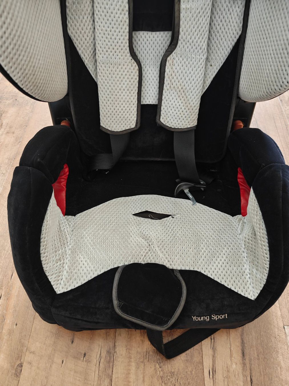 Recaro Auto-Kindersitze: Recaro Young Sport – Gebraucht aus Oberdiessbach von DR39 3