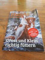Schweizer Hunde Magazin Fachzeitschrift Januar / Februar