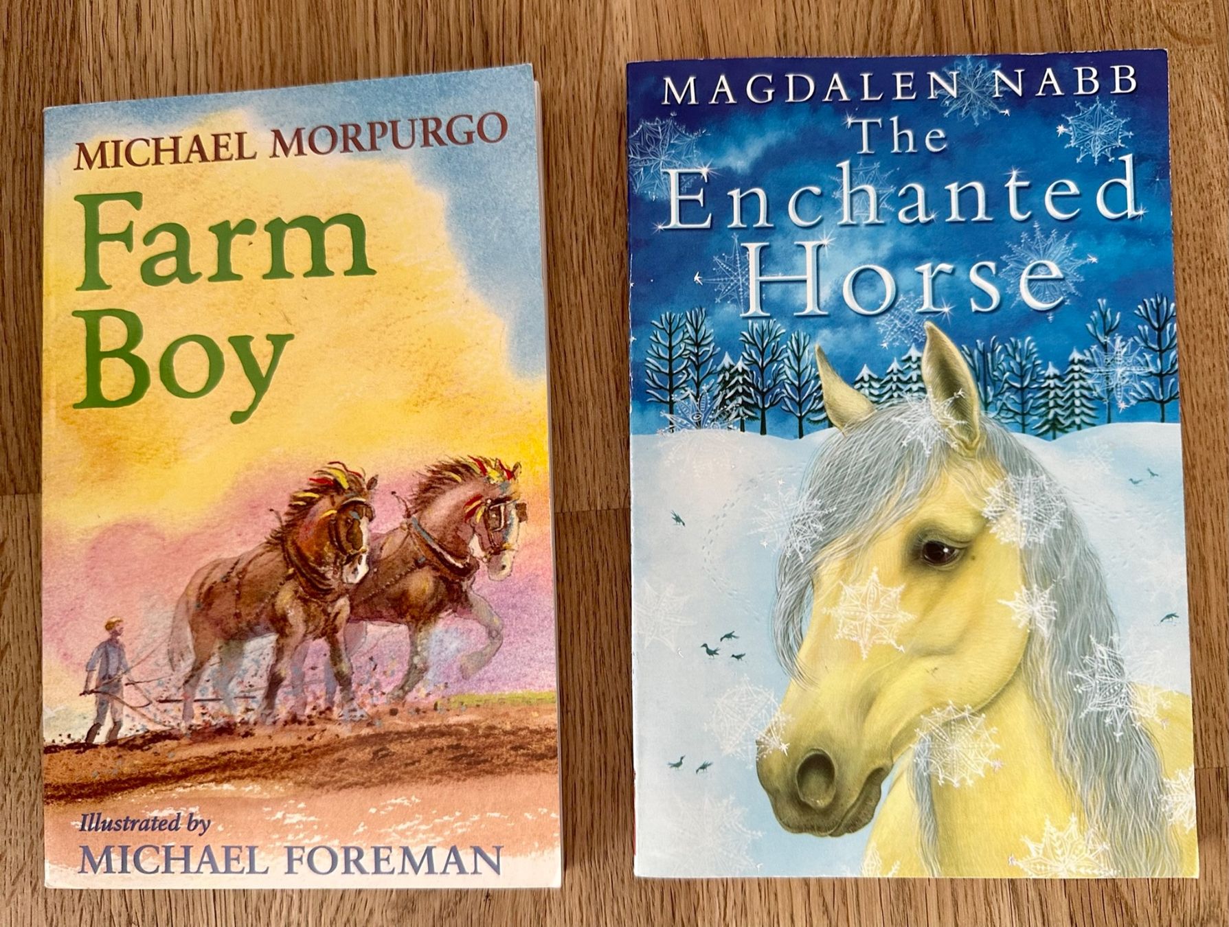 Libri: 2 English books – Usato da Amriswil venduto da Mat08