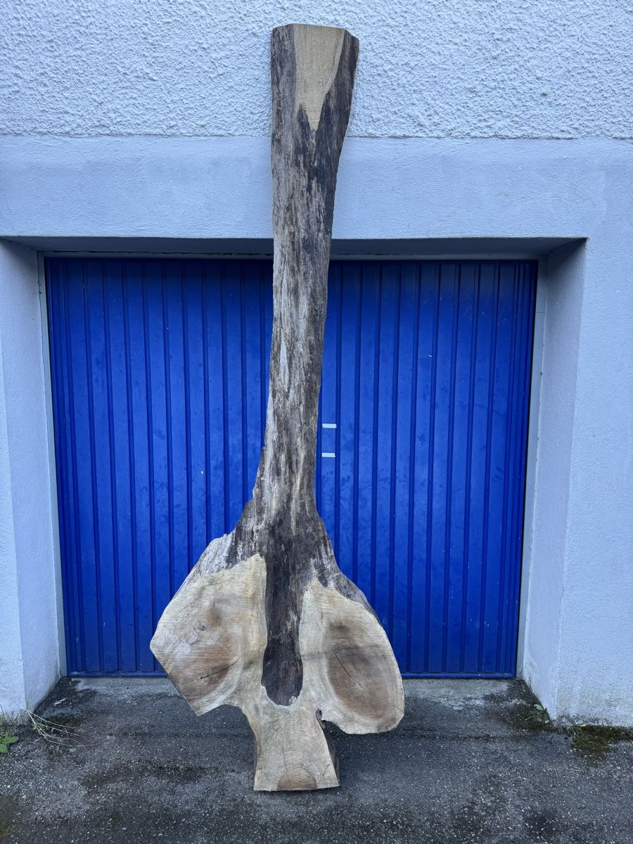 Articoli in legno: Nussbaum Klotzbrett 260  cm lang! – Usato da Gränichen venduto da onkel_xxl 4
