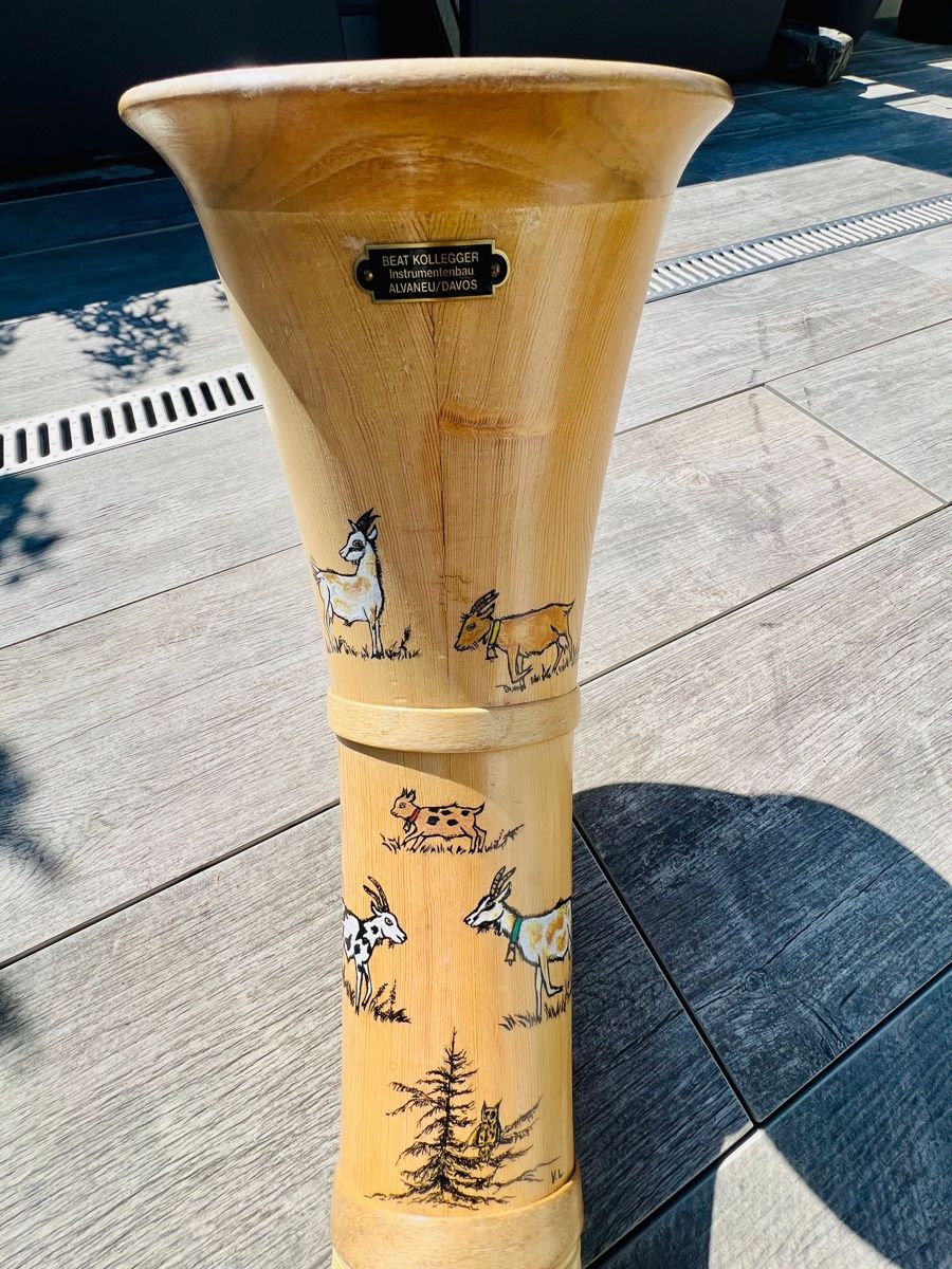Strumenti musicali: Alphorn Kolleger mit Tasche – Usato da Domat/Ems venduto da gian1984 2