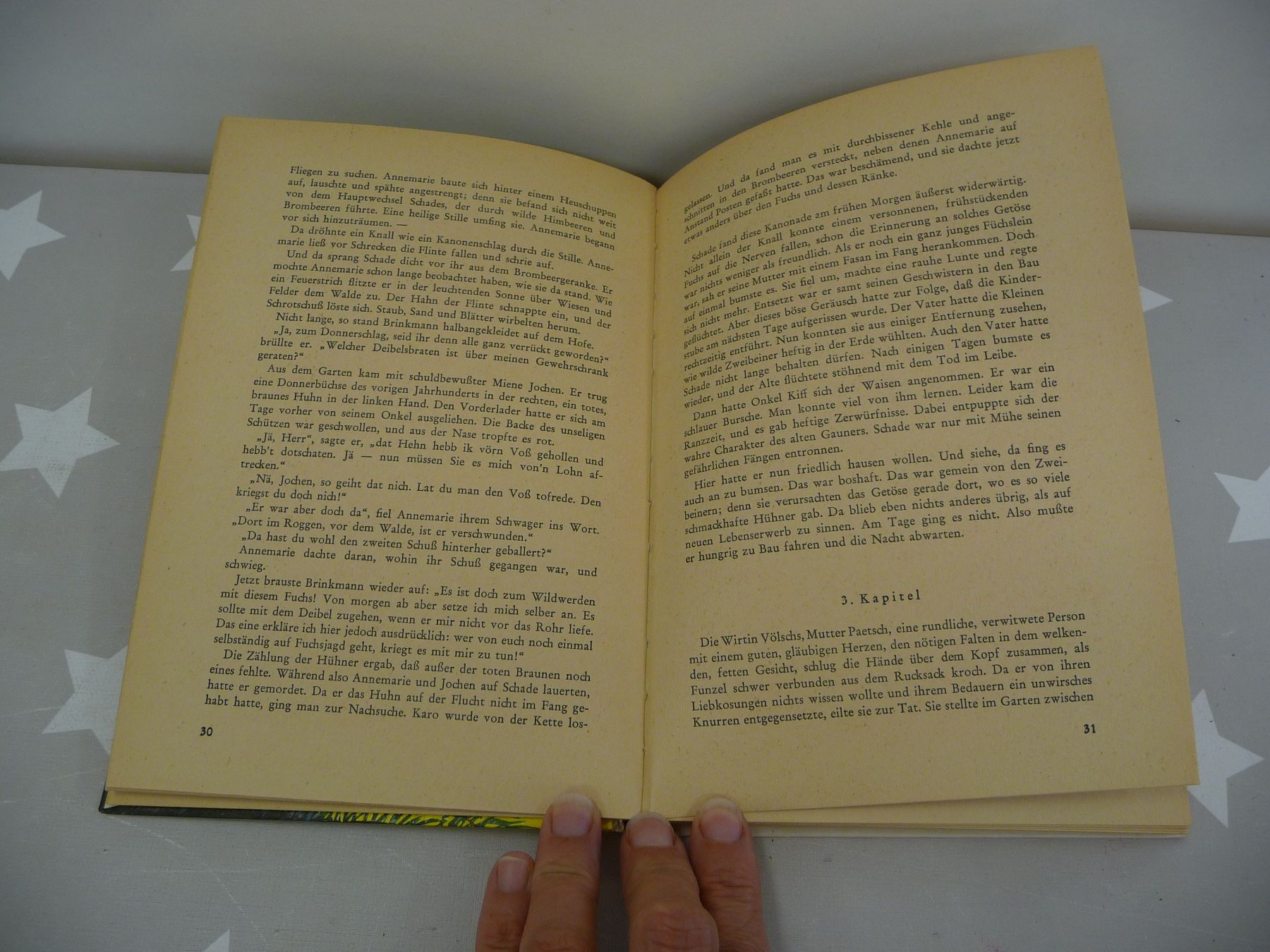 Libri: Buch: Füchslein, pass auf! – Usato da Rafz venduto da Powacaddy 3