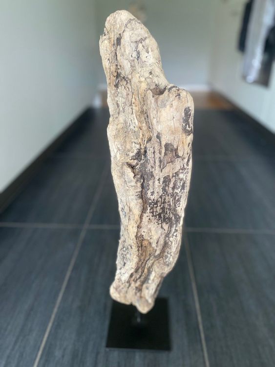 Spannende Treibholz Kaufen Baumarkt Bilder