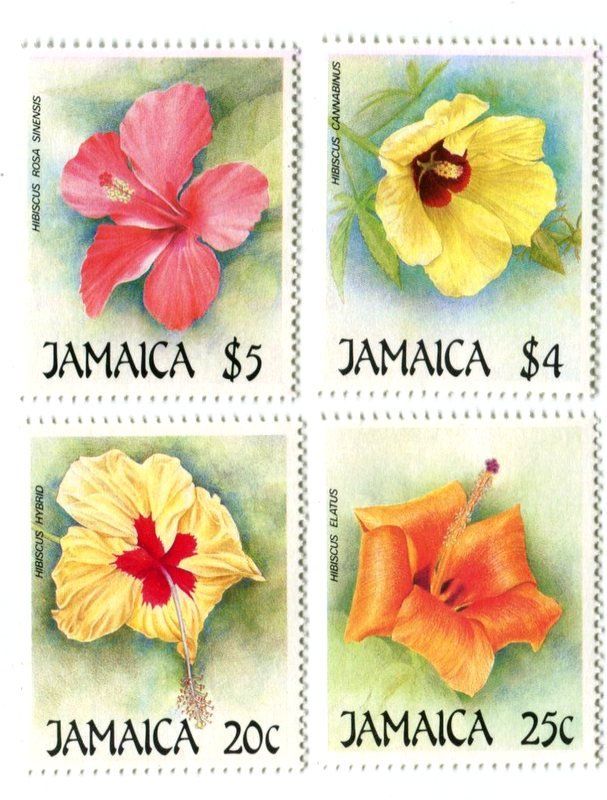 Alle Briefmarken: Briefmarken "Hibiskus". Jamaika. – Neu und originalverpackt aus Basel von Butsch5