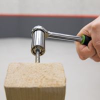 ACHTUNG Aschenputtels Wundernuss2019 TOP
