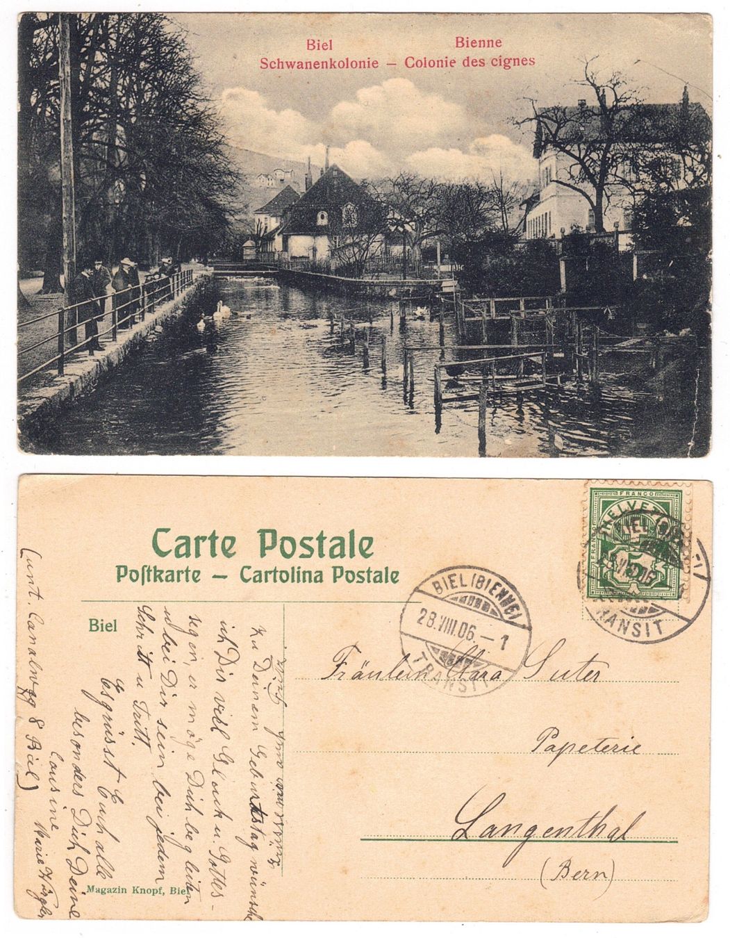 Cartoline postali: Bienne, colonie des cignes – Usato da La Tour-de-Peilz venduto da amjust