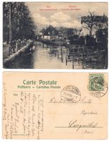 Bienne, colonie des cignes