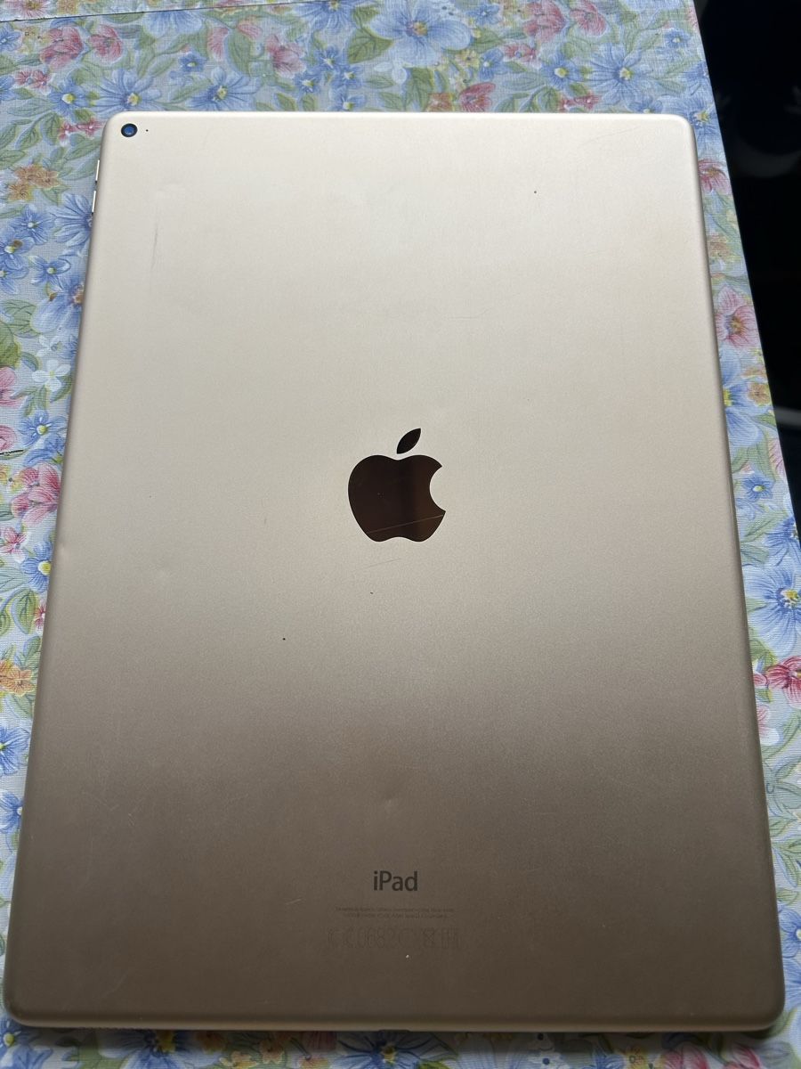 Apple Tablet PC: Ipad Pro 12.9 Zoll A1584 – Gebraucht aus Mollis von Stern8577