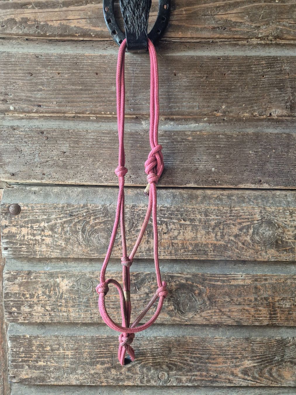 Zaumzeug & Halfter: Knotenhalfter Cob – Neu (gemäss Beschreibung) aus Meggen von Orrinka20