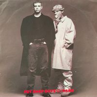 Vinyl-Single Pet Shop Boys - So Hard