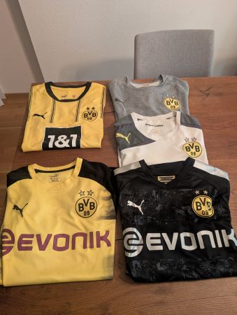 BVB Shirts