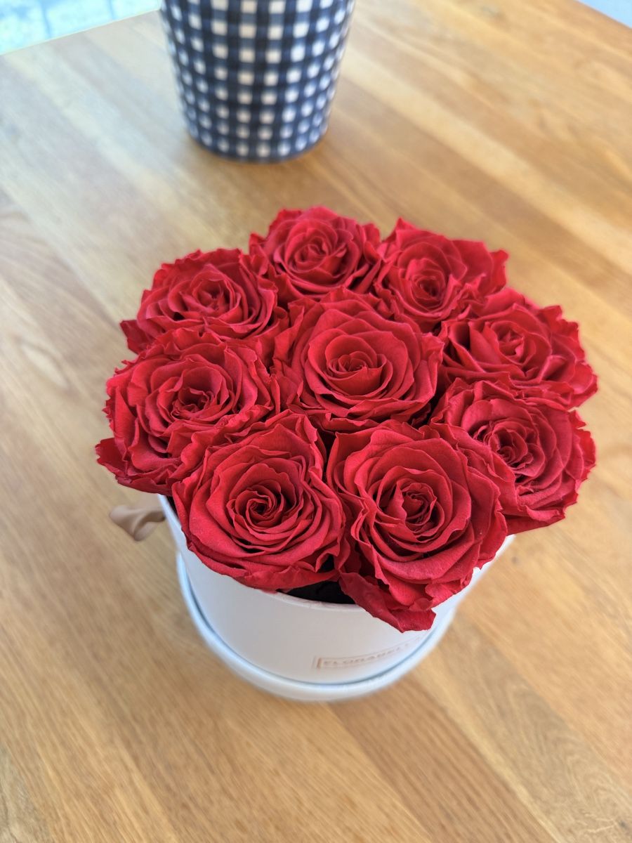 Tutte le decorazioni: Infinity Rosen rot Florabella  – Nuovo (secondo la descrizione) da Zürich venduto da Sandrin354 1