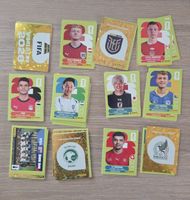 PANINI