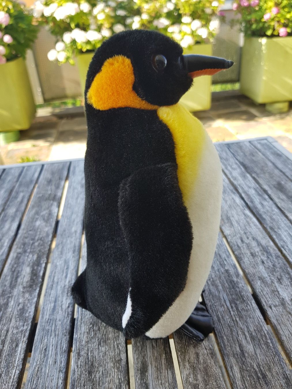 Aurora Jouets: Pinguin Plüsch – D'occasion à Jona par dampfnuggi 1