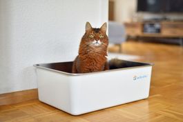 Edelstahl Katzentoilette ab Lager Lucky Kitty Fabrikneu