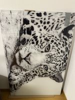2 Wandbilder  Leopard schwarz weiss auf Glas guter Zustand 