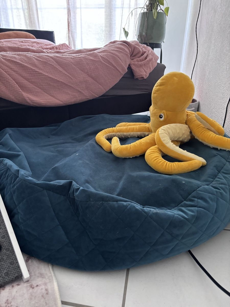 Cucce & Letti: XXL Hundebett – Usato da Lohn-Ammannsegg venduto da SolongeGe