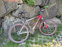 Trek Mountainbike