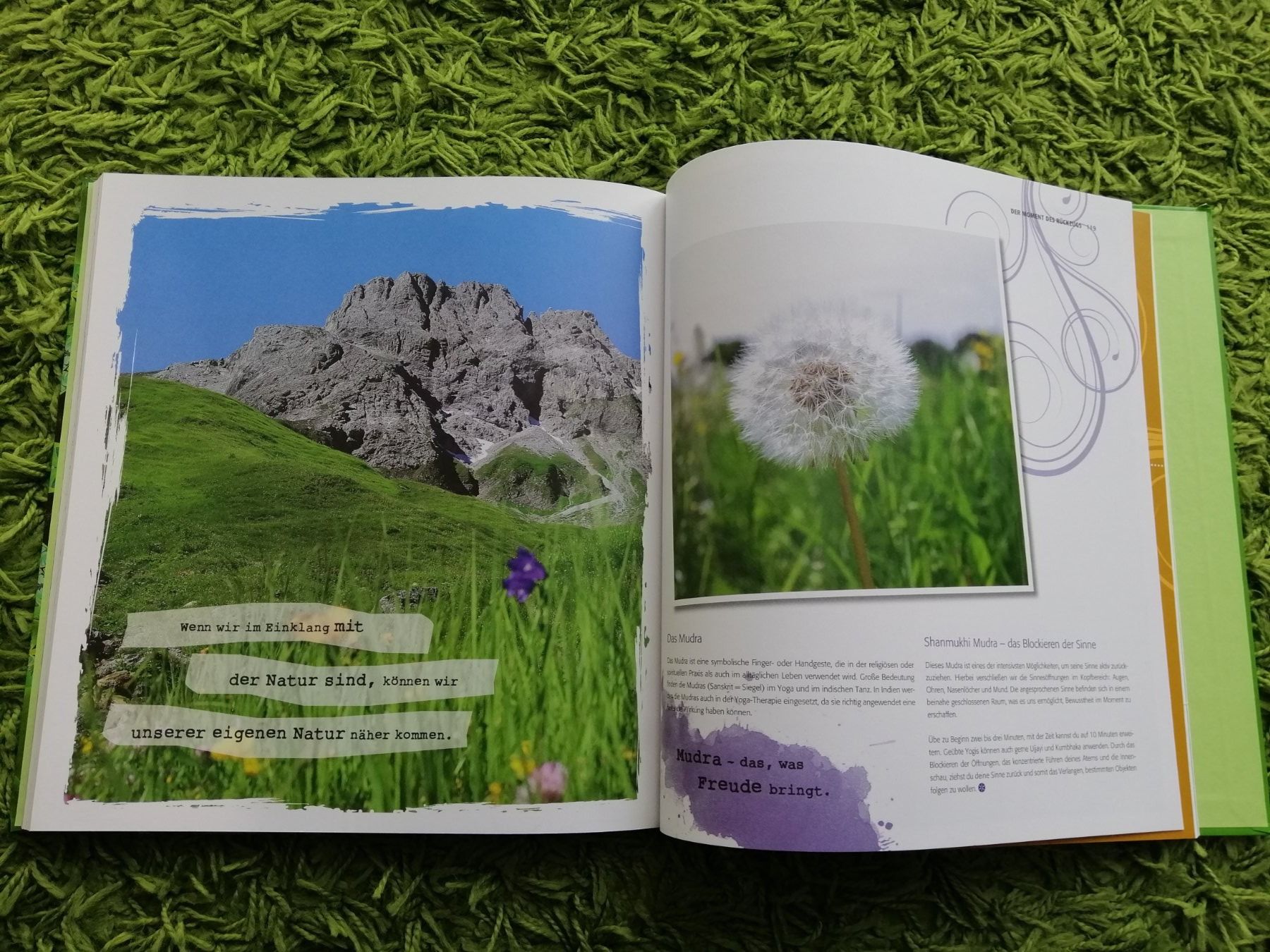 Bücher: Ratgeberbücher 3 mal – Neu (gemäss Beschreibung) aus Villmergen von MONCHHICHI 6