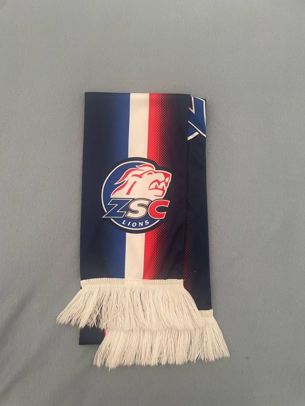 Zsc Lions Foulards & écharpes: ZSC Lions Schaal – D'occasion à Villeneuve VD par vin_7zm6 2