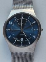 120 Skagen Titanium Date Quartz