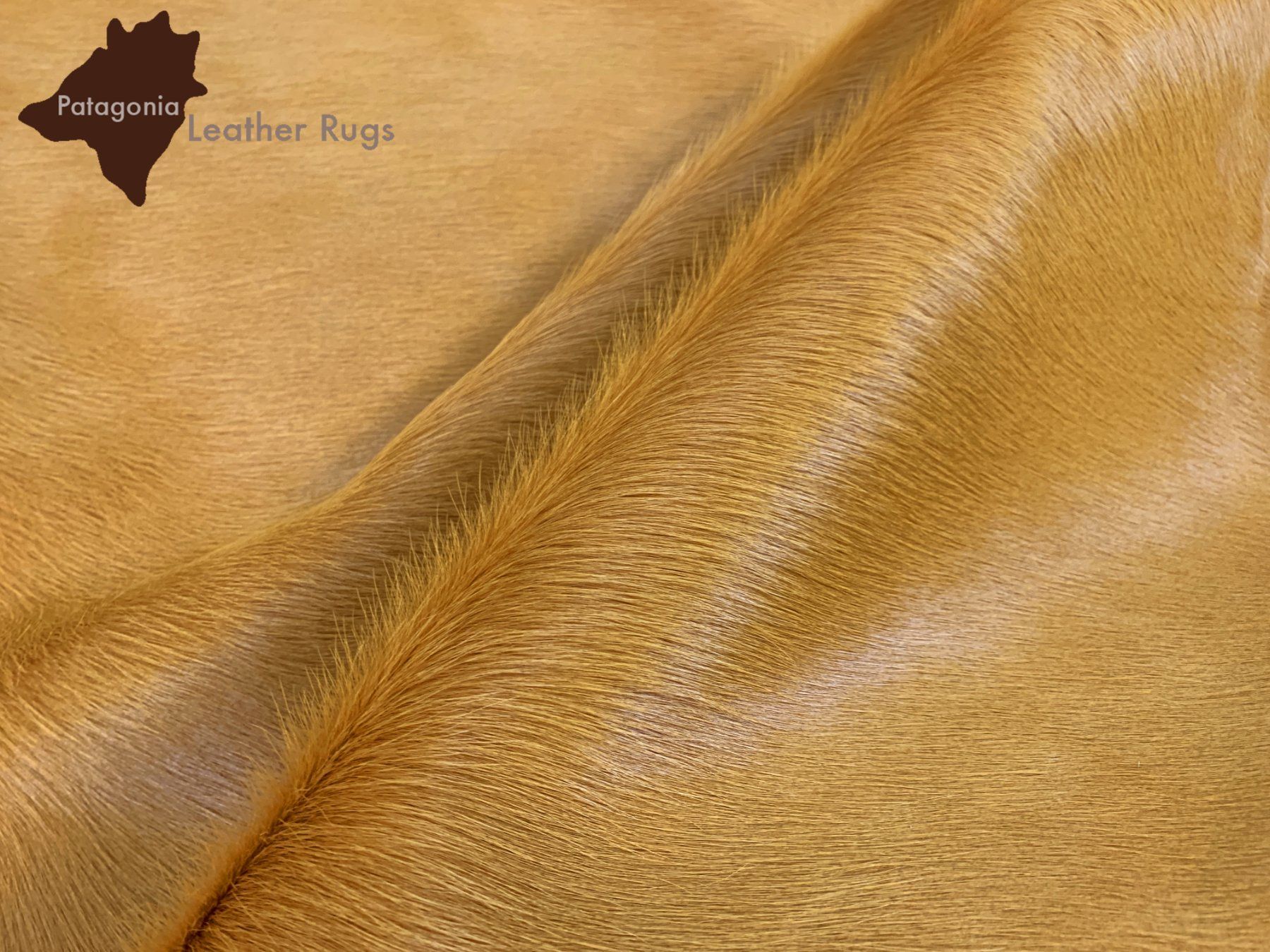 Tappeti: echtes Kuhfell Teppich Senf – Nuovo e nell'imballaggio originale da Arbedo venduto da patagonialeatherrugs 2