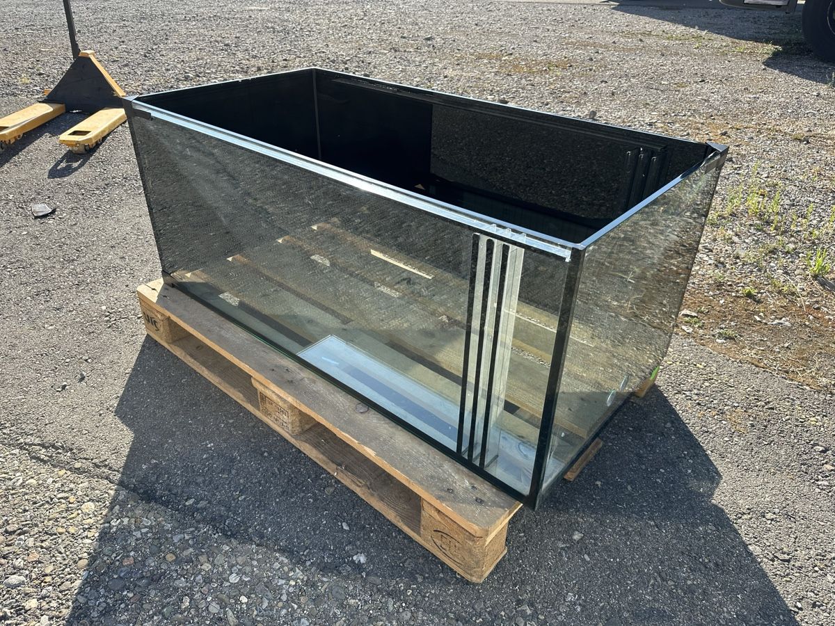 Acquari: Aquarium  – Usato da Berikon venduto da fischundart