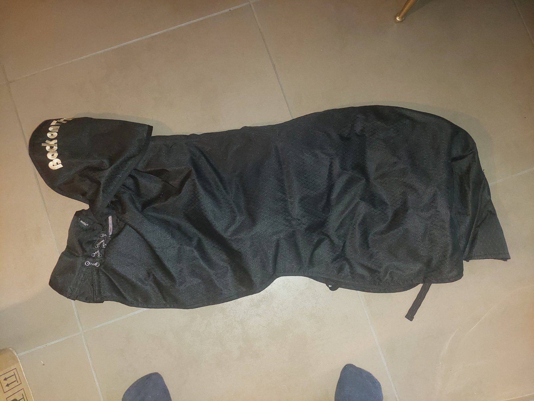Bekleidung: Back on Track Winter-Hundemantel – Gebraucht aus Widnau von blackSkorpion88