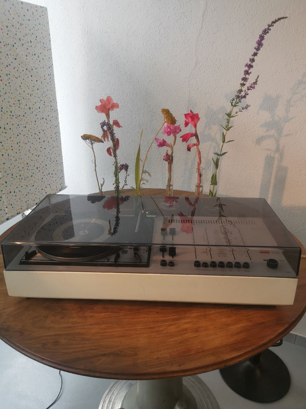Dual Giradischi: Ensemble wega studio 3211/ dual 1214 – Usato da La neuveville venduto da Madmax1979 2