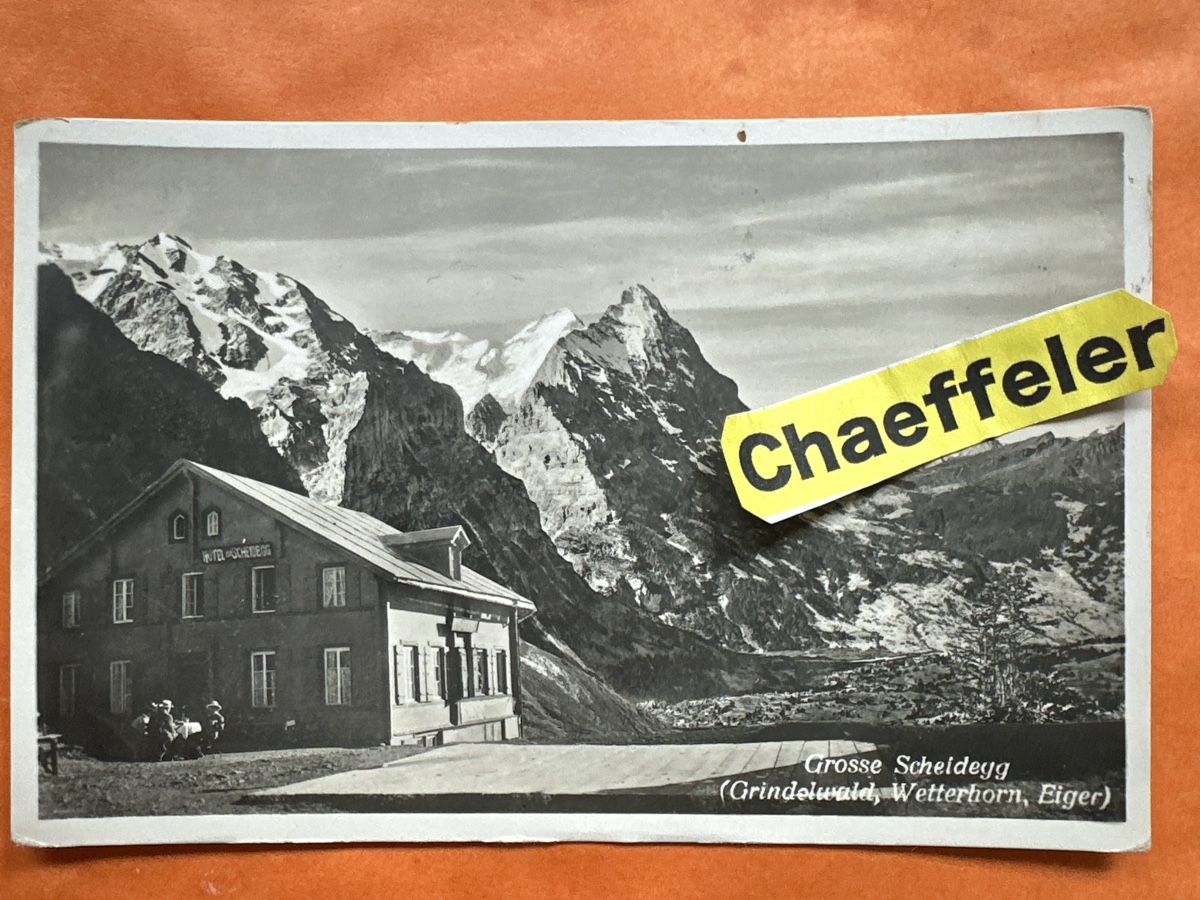 Cartoline postali: Alte Ansichtskarte 1927  Grindelwald mit Briefmarke, Top! – Usato da Zürich venduto da Chaeffeler
