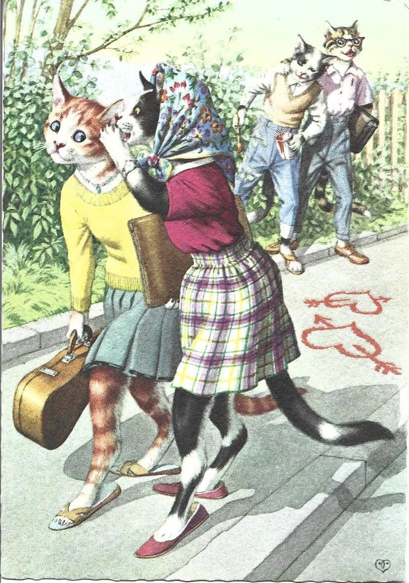 Cartoline postali: AK  Humor  Katzen  4x – Usato da Appenzell venduto da mai25 1