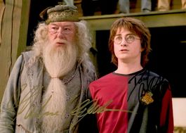 HARRY POTTER Michael GAMBON David RADCLIFFE / TOP AUTOGRAMM