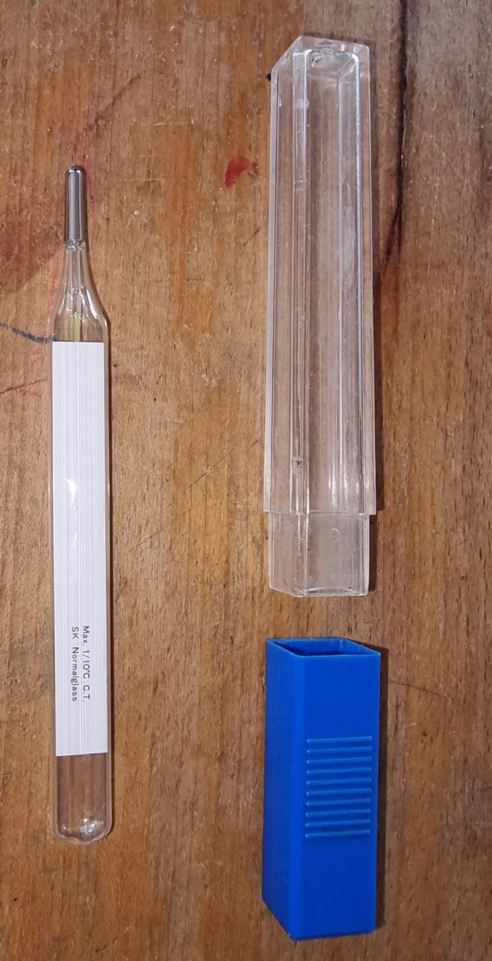 Sonstiges für Haushalt & Wohnen: Fieberthermometer Glas mit Hülle – Gebraucht aus Rifferswil von sandra0010 1