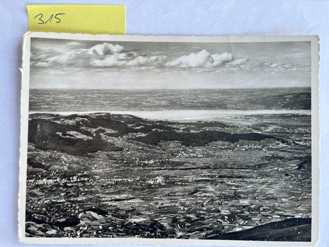 Cartoline postali: Ansichtskarte Rheintal Bodensee, alt – Usato da Niederwil AG venduto da dahu75