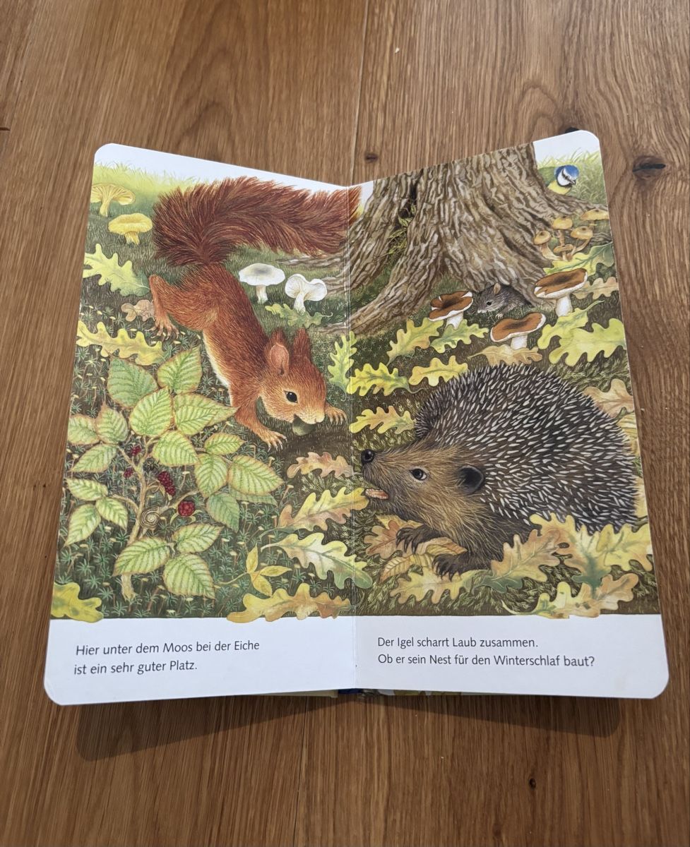 Libri: "Ich bin das kleine Eichhörnchen" - Ravensburger Buch – Usato da Jegenstorf venduto da Annina0506 4