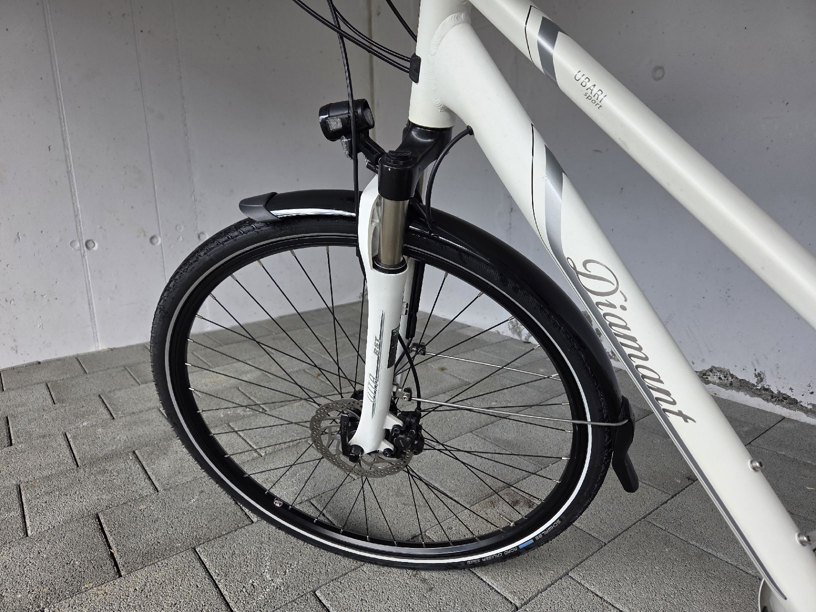 Biciclette: Damenrad - DIAMANT Ubari Sport G45 WT – Usato da Oberkirch LU venduto da Trini04 7