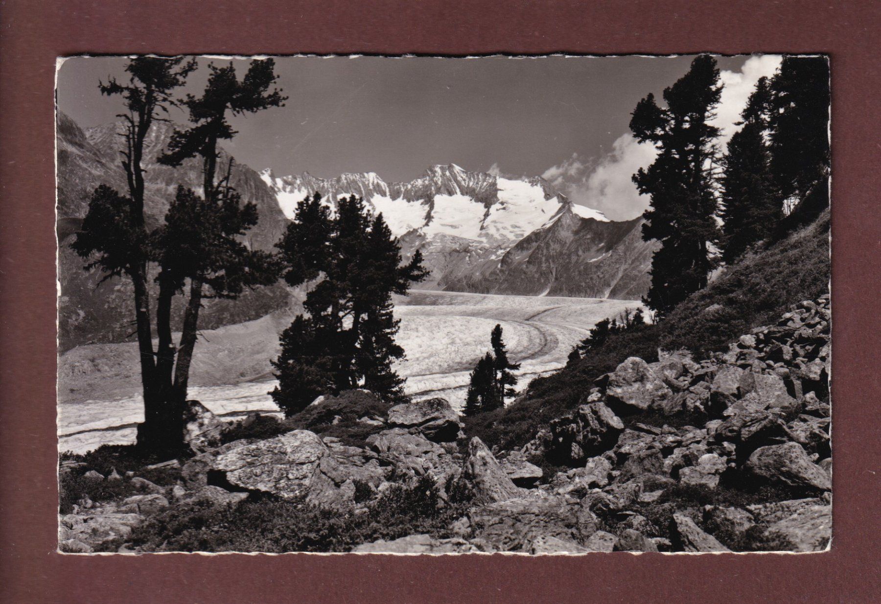 Cartes postales: ALETSCHWALD - Aletschgletscher – D'occasion à Pully par nicecards-shop