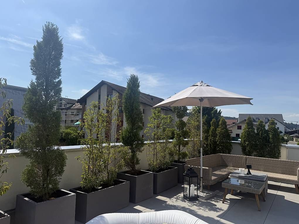 Vasi per fiori: Design-Pflanzgefässe mit Sichtschutz | Komplettset – Usato da Niederwil AG venduto da mar_s9sz
